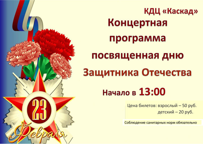 Концертная программа посвященная дню Защитника Отечества
